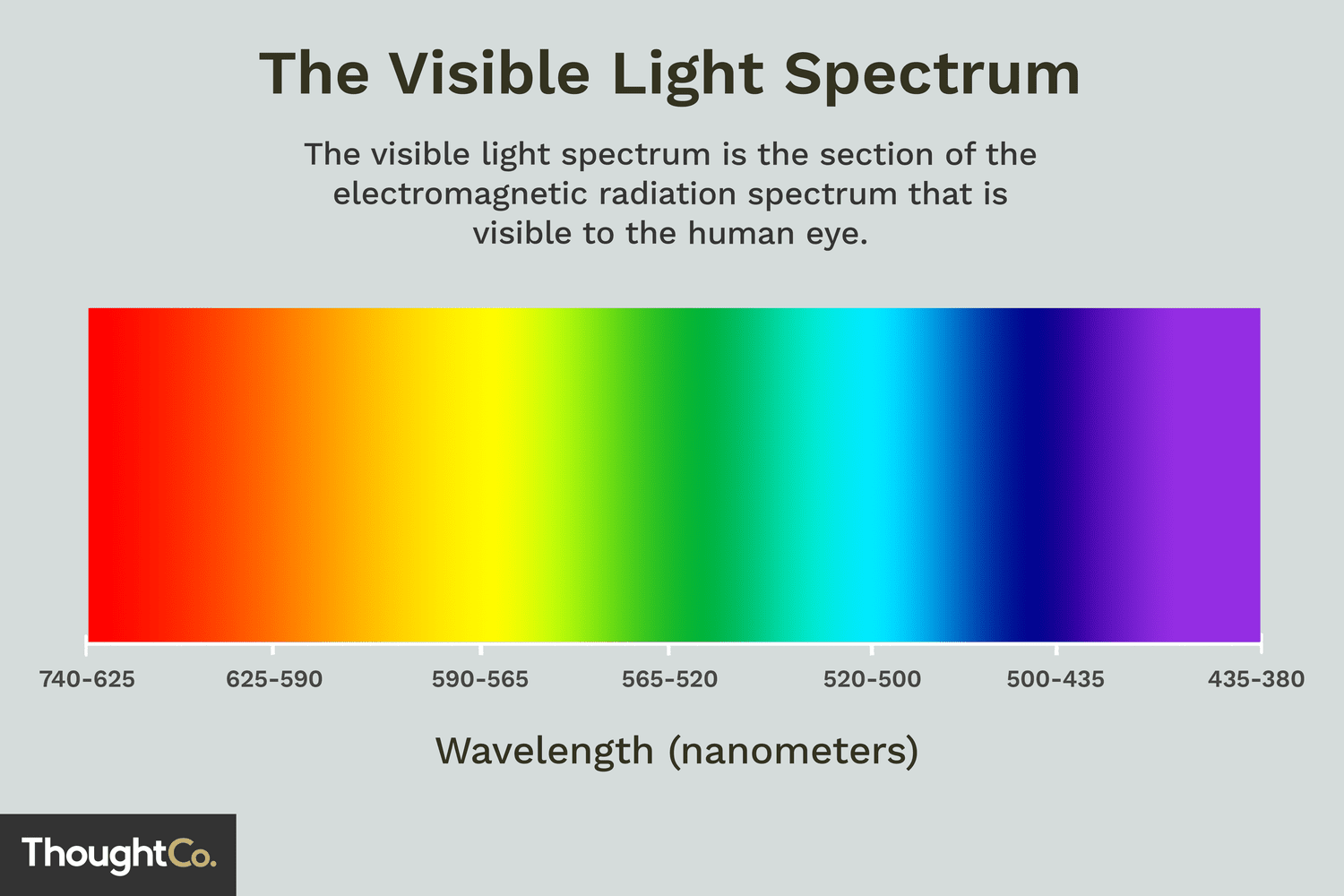 img of The Magic of Color